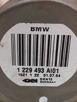 BMW 3 E46 Albero di trasmissione posteriore 1229493