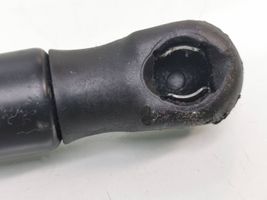 Audi A4 S4 B7 8E 8H Ammortizzatore portellone anteriore/cofano 