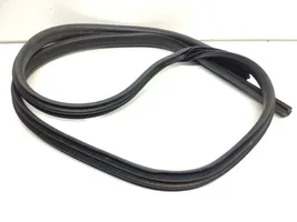 Ford Focus Front door rubber seal Bm51A20530