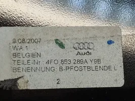 Audi A6 Allroad C6 (B) Garniture de montant extérieur 4F0853289A