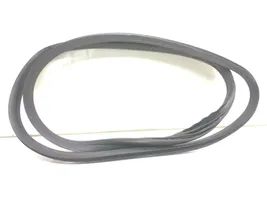 Volvo V60 Front door rubber seal 893991