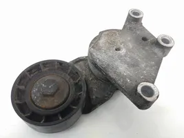 Volvo C30 Tendicinghia generatore/alternatore 419484