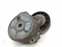 Ford Kuga I Napinacz paska wielorowkowego / Alternatora 530615