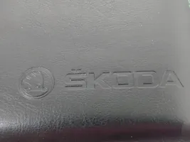 Skoda Fabia Mk3 (NJ) Manuel de l'utilisateur 