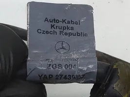 Mercedes-Benz B W245 Maakaapeli, akku A1695400209