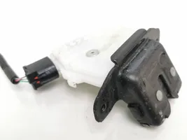 Hyundai Santa Fe Loading door lock 1863