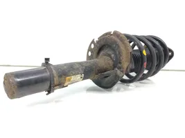 Ford Transit -  Tourneo Connect Front shock absorber with coil spring DV6118K001LC