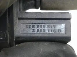 Volkswagen Cross Polo Zawór podciśnienia 6QE906517