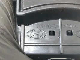 Hyundai i20 (PB PBT) Leva comando tergicristalli 202008910