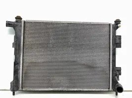 Hyundai i20 (PB PBT) Radiateur de refroidissement Rbc108t2