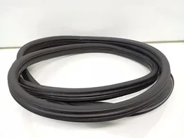 BMW X5 E70 Front door rubber seal 