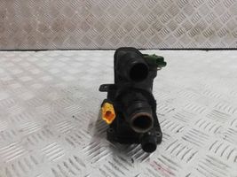 Citroen DS3 Termostato/alloggiamento del termostato 9807198480