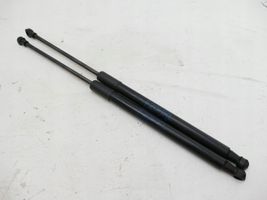 BMW 1 F20 F21 Gasdruckfeder Dämpfer Heckklappe Kofferraumdeckel 7239871