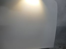 Fiat Ducato Engine bonnet/hood 