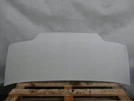 Fiat Ducato Engine bonnet/hood 