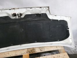 Fiat Ducato Engine bonnet/hood 