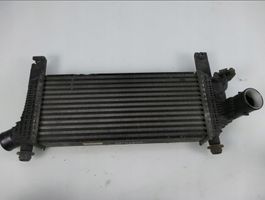 Nissan Pathfinder R51 Välijäähdyttimen jäähdytin 14461-5X00A