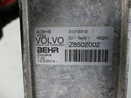 Volvo V40 Radiatore dell’olio del motore 31319313