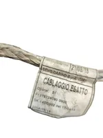 Fiat Ducato Negative earth cable (battery) F1376738080