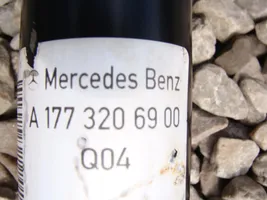 Mercedes-Benz A W177 Amortisseur arrière A1773206900