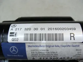 Mercedes-Benz S C217 Amortyzator zawieszenia pneumatycznego osi przedniej A2173204001