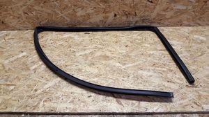 Opel Zafira B Rubber seal rear door window/glass 13132029