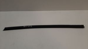 BMW 5 E60 E61 Rubber seal front door window/glass 