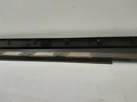 Toyota C-HR Sill 75851F4010