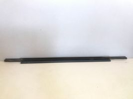 Audi A6 C7 Rear door glass trim molding 4G0853764