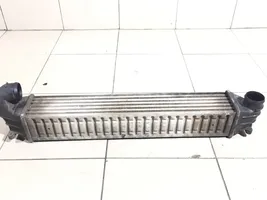 Volkswagen Sharan Radiatore intercooler 7M3145805