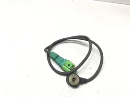 Audi A4 S4 B7 8E 8H Detonācijas sensors 07D905377