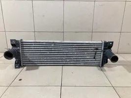 SsangYong Kyron Chłodnica powietrza doładowującego / Intercooler 621970