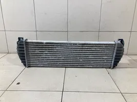 SsangYong Kyron Chłodnica powietrza doładowującego / Intercooler 621970