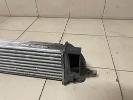 Ford Connect Chłodnica powietrza doładowującego / Intercooler 96219