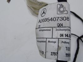 Mercedes-Benz C W203 Drzwi tylne A2035407308