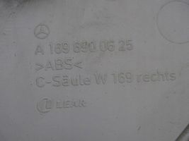 Mercedes-Benz A W169 Autres pièces intérieures A1696900625