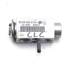 Mercedes-Benz CLC CL203 Valvola ad espansione dell’aria condizionata (A/C) 2308300184