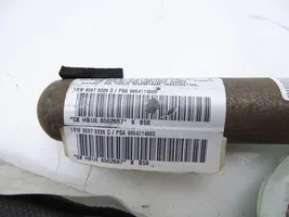 Citroen C4 I Picasso Airbag del techo 9654114980