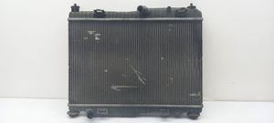 Ford Fiesta Dzesēšanas šķidruma radiators 