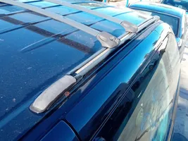 Chrysler Voyager Maniglia interna tetto posteriore 