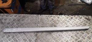 Volvo S60 Front door trim (molding) 