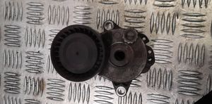 Mercedes-Benz C W204 Tendicinghia generatore/alternatore 