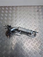 Nissan Juke I F15 EGR-venttiili/lauhdutin 147350364R