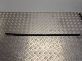 Hyundai Santa Fe Rear door glass trim molding 