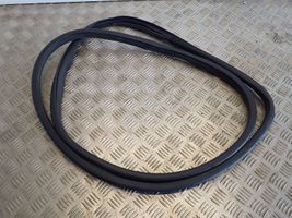 Honda CR-V Front door rubber seal 