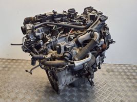 Ford Focus Engine DV6C