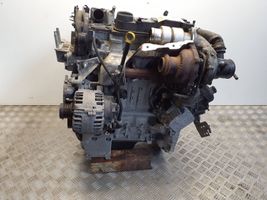 Ford Focus Motor DV6C