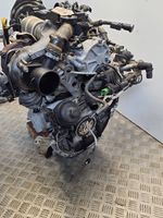 Ford Focus Motor DV6C