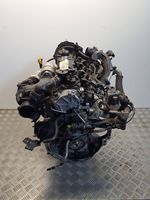 Ford Focus Motor DV6C