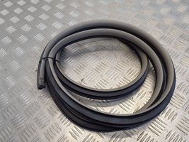 Toyota Yaris Rear door rubber seal (on body) 